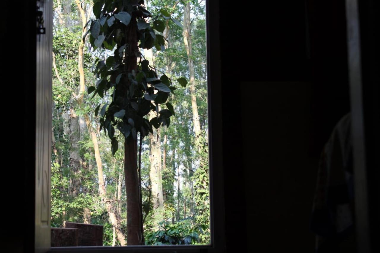 Kaikane Homestay Madikeri Esterno foto