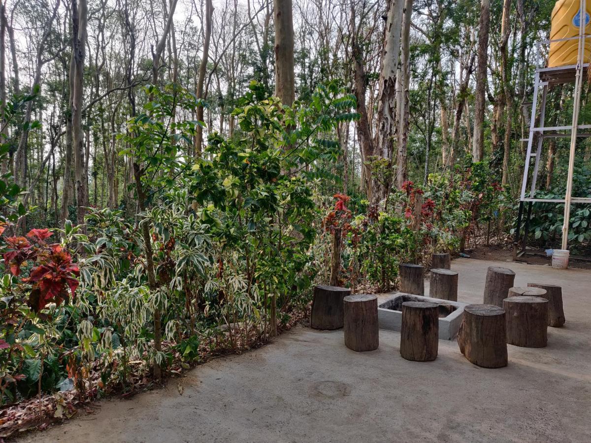 Kaikane Homestay Madikeri Esterno foto
